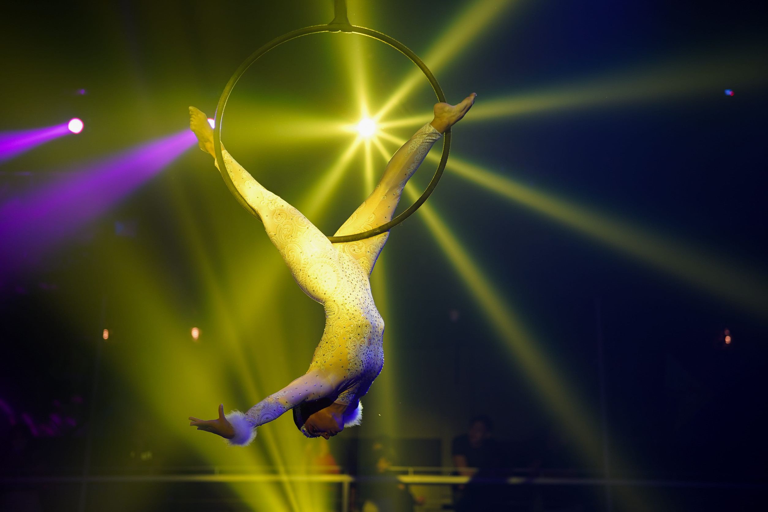 Acrobat Permoni