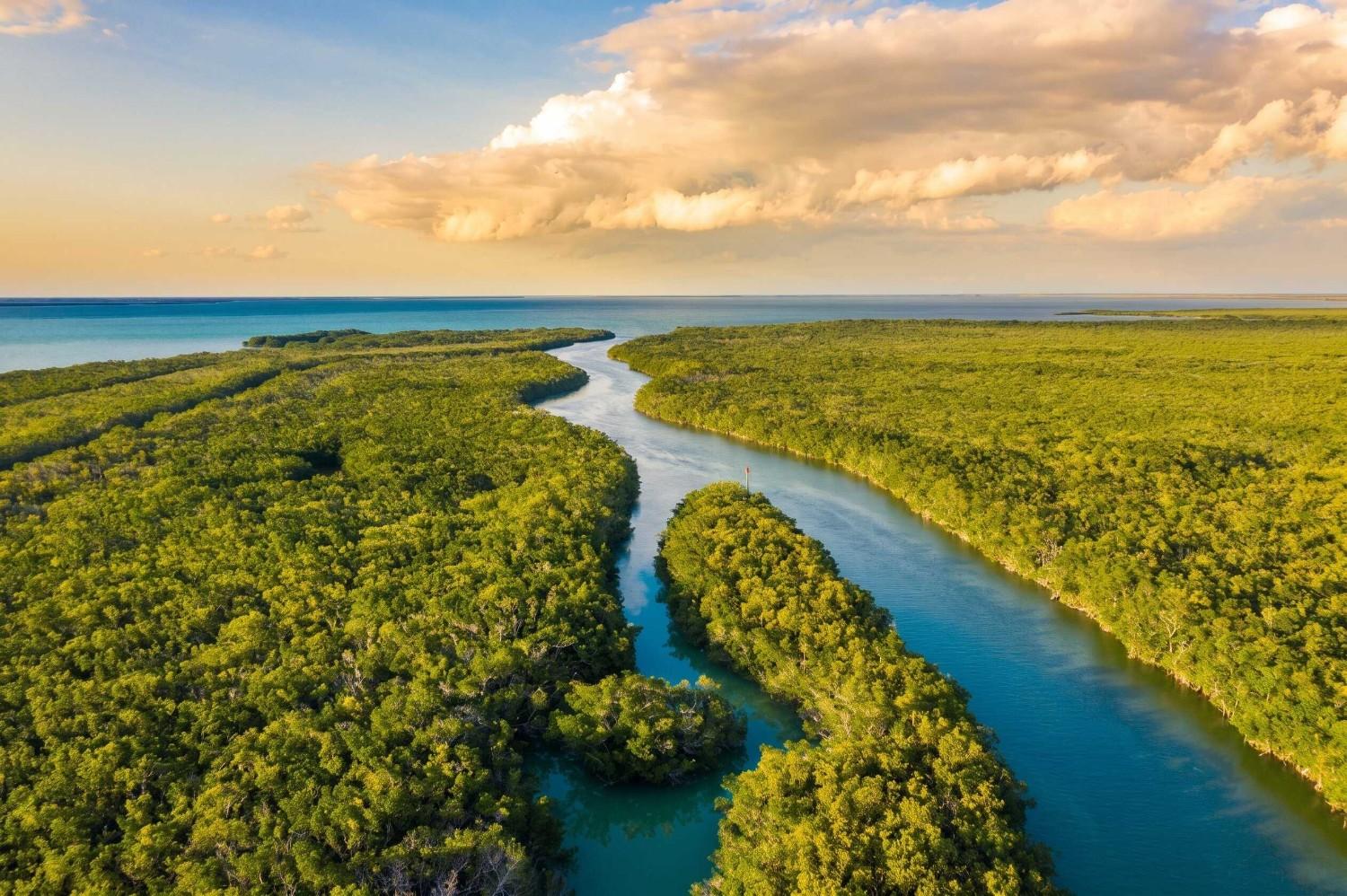 Aerial View Of Everglades National Park