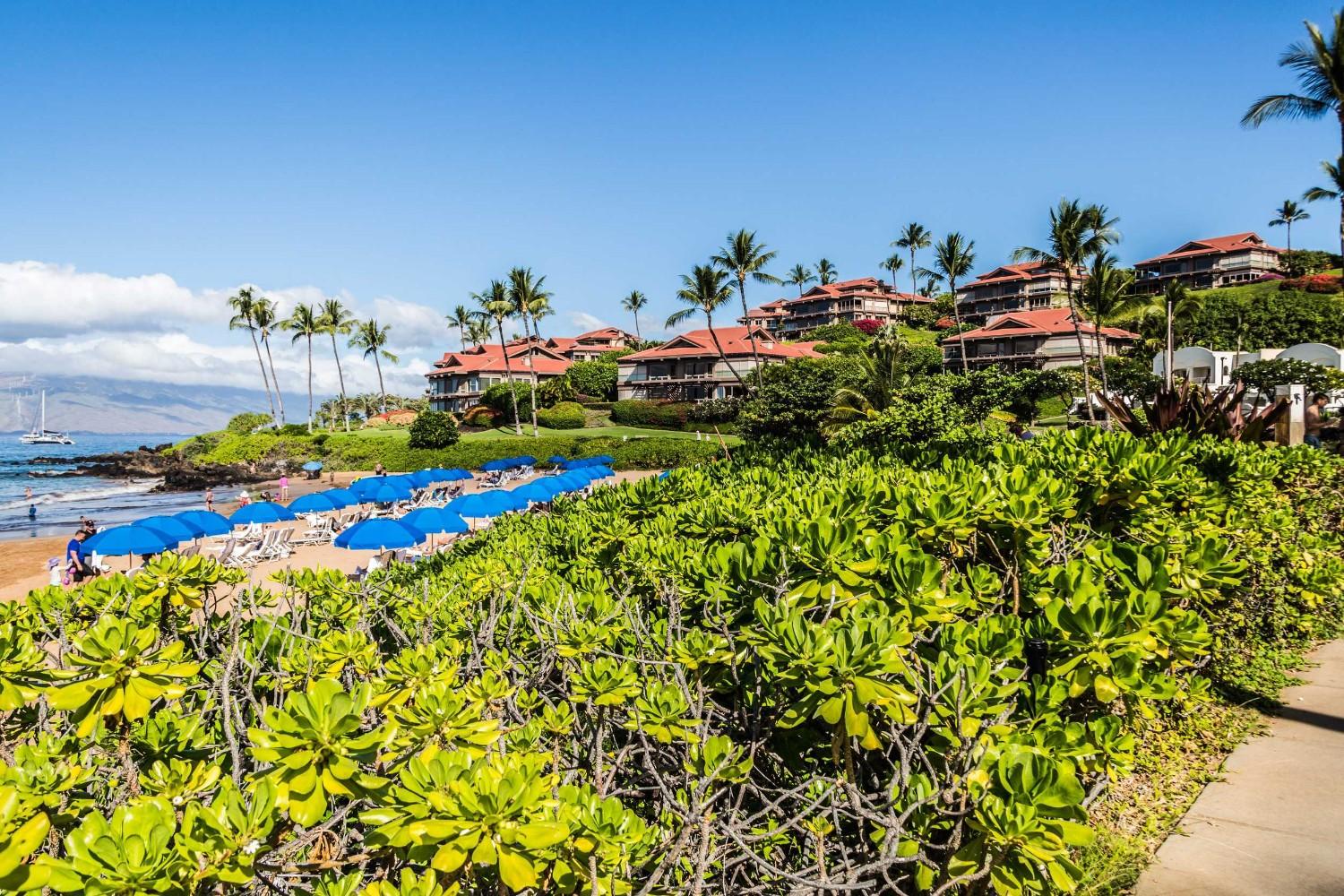 Wailea Beach Maui